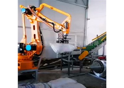 袋裝氧化鋁自動拆垛機(jī) 機(jī)械手拆垛拆包流水線