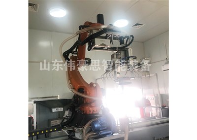 豆粕全自動拆垛設(shè)備 拆垛機(jī)械手非標(biāo)定制