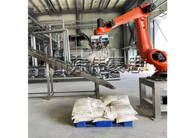 肥料自動拆垛機器人 拆垛機械手客戶現場